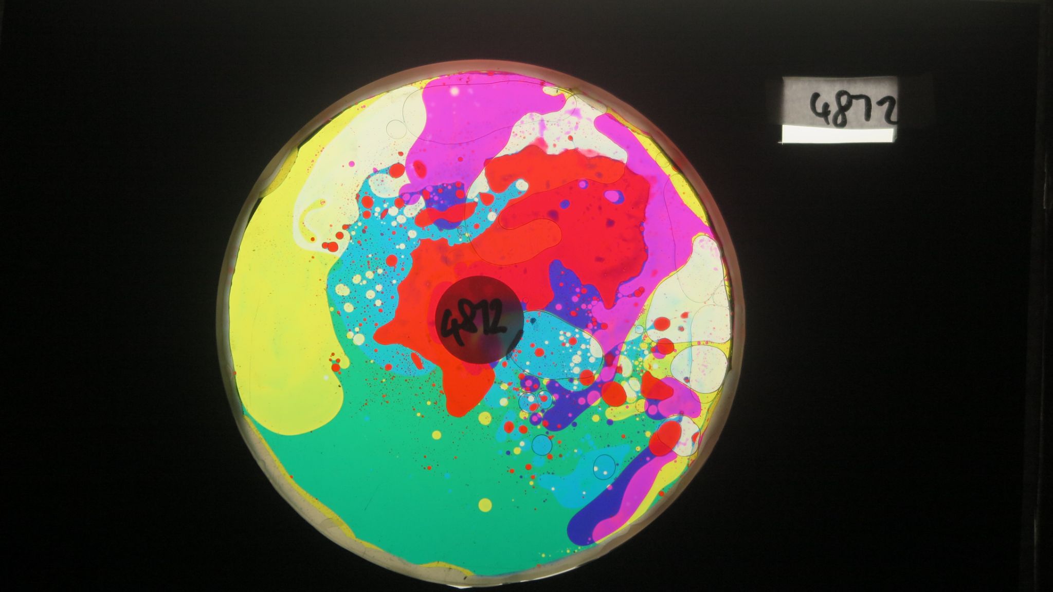 BV4872 bubble vision oil wheel